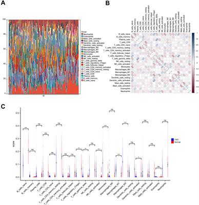 Identifying effective diagnostic biomarkers and immune infiltration features in chronic kidney disease by bioinformatics and validation